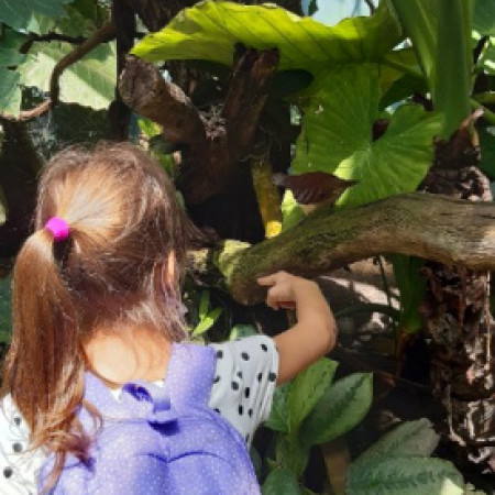 [20210712-125036.jpeg]