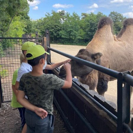 [img-20210723-wa0026.jpeg]