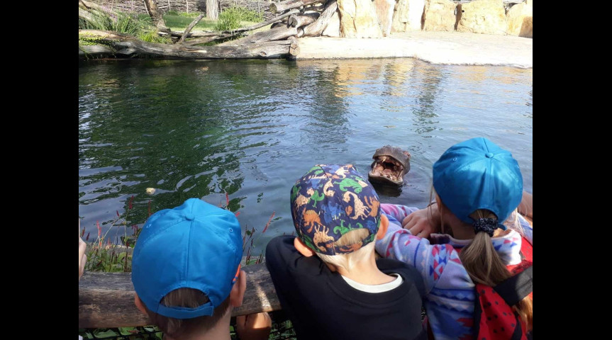 Příměstský tábor v zoo 1 2026