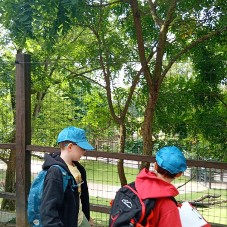 [20250729-093254.jpeg]