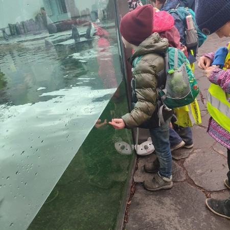 [426474216-10221098228679748-721452772897700059-n.jpeg]