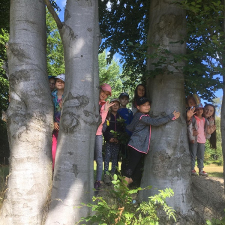 [66275563-881558498871190-6647496608311148544-n.jpeg]