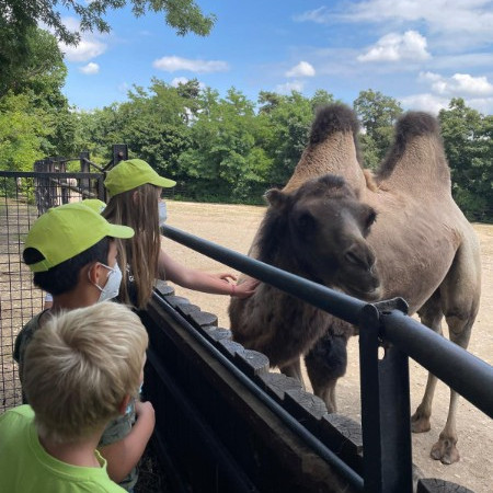 [img-20210723-wa0021.jpeg]