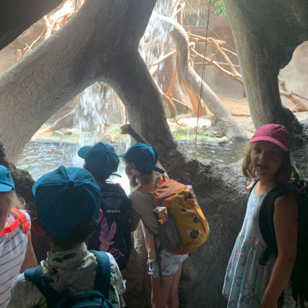 [img-20230710-wa0035.jpeg]