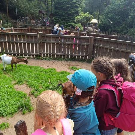 [img-20240724-155023.jpeg]