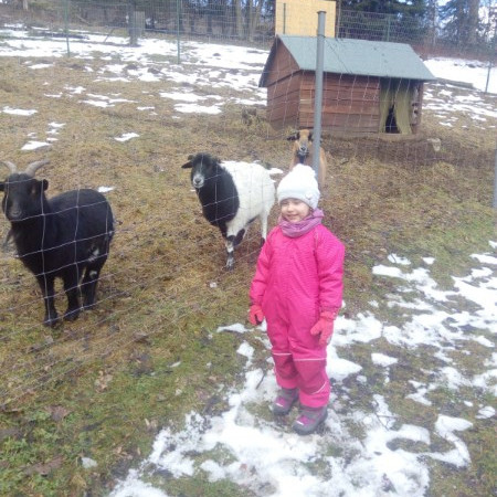 [whatsapp-image-2020-02-18-at-18.02.25.jpeg]