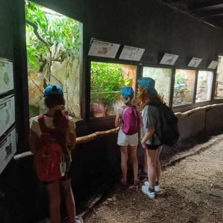 [img-20240823-wa0181.jpeg]