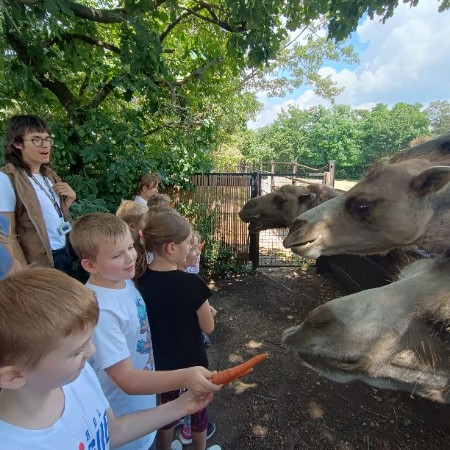 Příměstský tábor v zoo 1 2024
