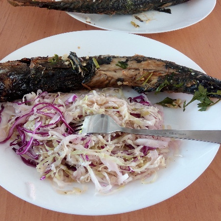 [img-20180813-115854.jpeg]