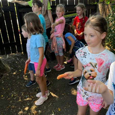 [img-20240730-wa0052.jpeg]