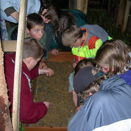 [dscn3528-resize.jpeg]