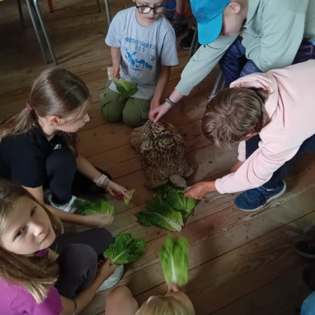 [20250730-101918.jpeg]