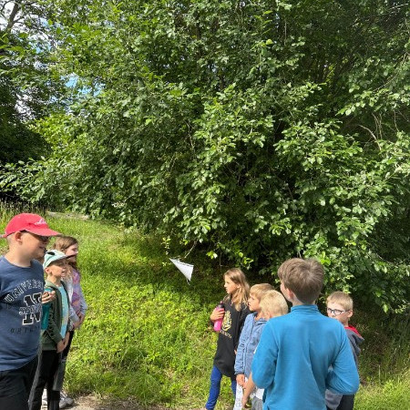 [img-20230706-wa0053.jpeg]