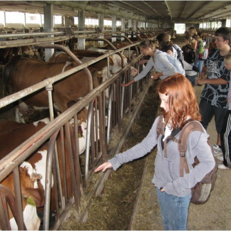 [img-1735-resize.jpeg]