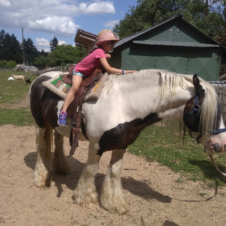 [img-20170703-151308.jpeg]