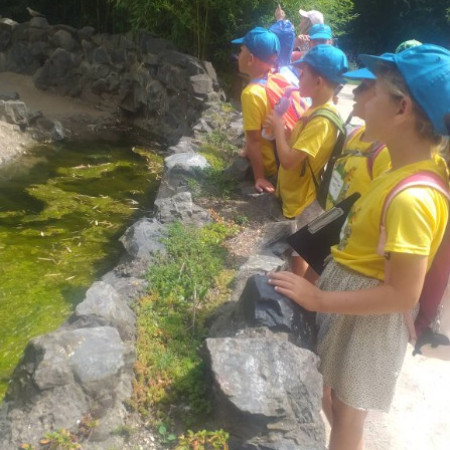 [299260943-1144335759520993-4914477774032417244-n.jpeg]