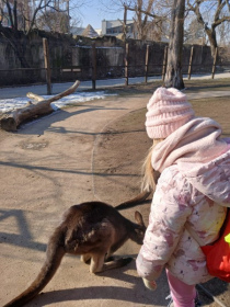[img-20250317-wa0102.jpeg]