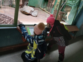 [img-20250317-wa0108.jpeg]