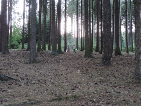 [dscn3417.jpeg]